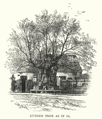 Luther Tree som det är av William Henry James after Boot